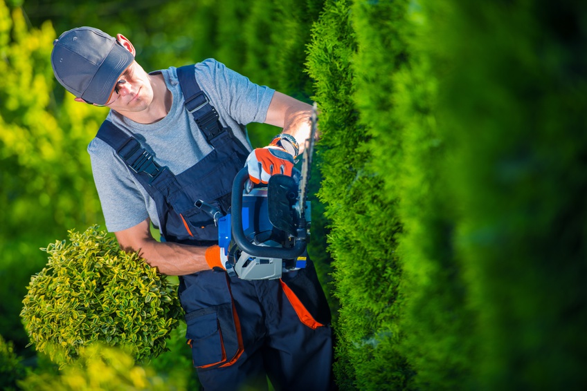 landscape contractors