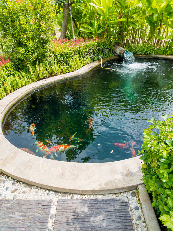 koi ponds